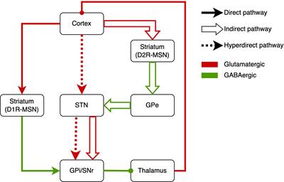 Repetitive Restricted Behaviors in Autism Spectrum Disorder: From Mechanism to Development of Therapeutics